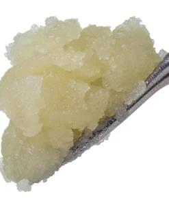 Blue Dream Live Sugar